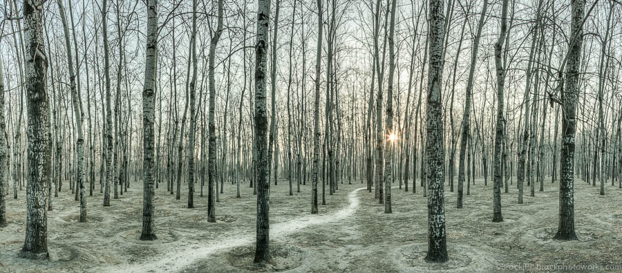 Chaoyang Side Park, Beijing, China
